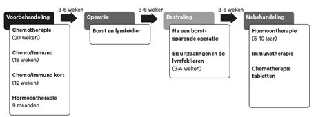 hmc borstkanker.